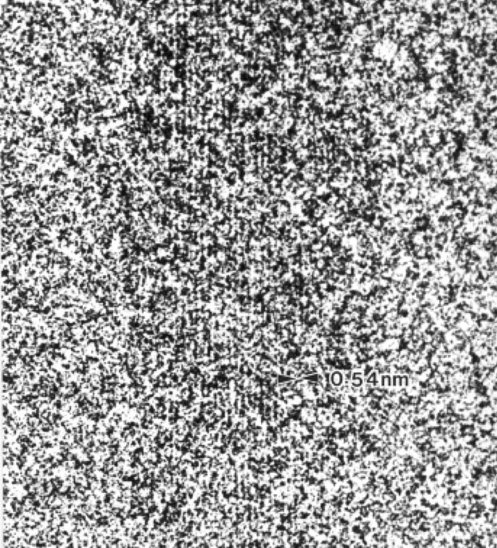 Longitudinal lattice image of Valonia cellulose microfibril