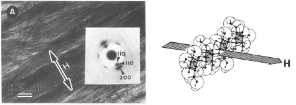 Pyranose ring goes perpendicular to the magnetic field
