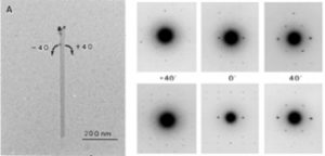 Cellulose crystal is 'Parallel-Up'