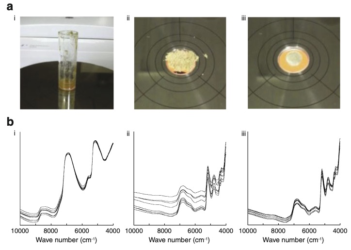 NIR high throughput analysis